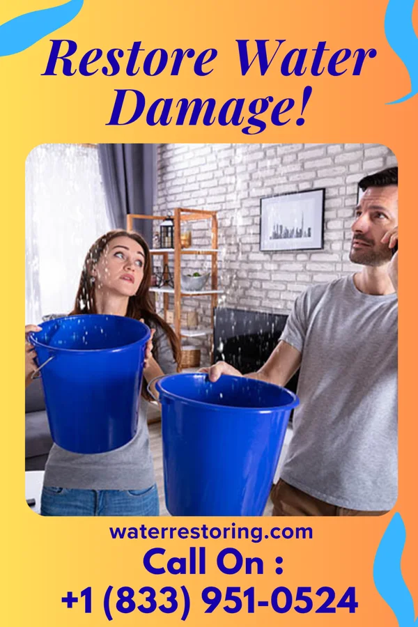 water restoration Solid Cleanup Team Spring Valley