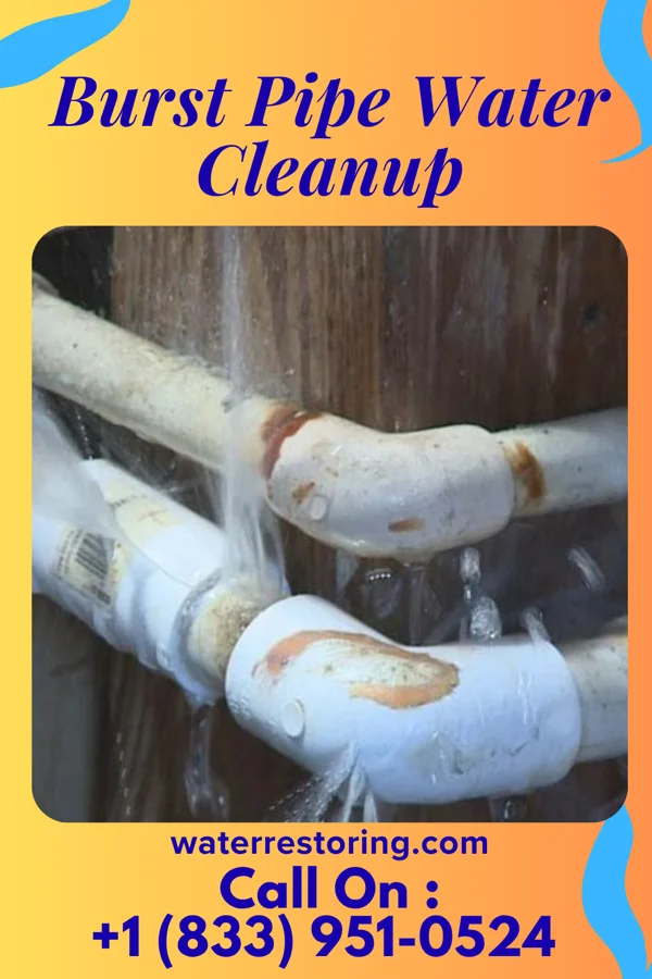 Burst Pipe Water Cleanup in Spring Valley, WI
