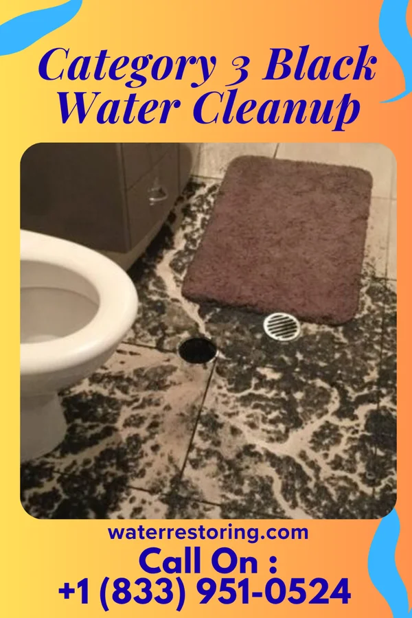 Category 3 Black Water Cleanup in Spring Valley, WI