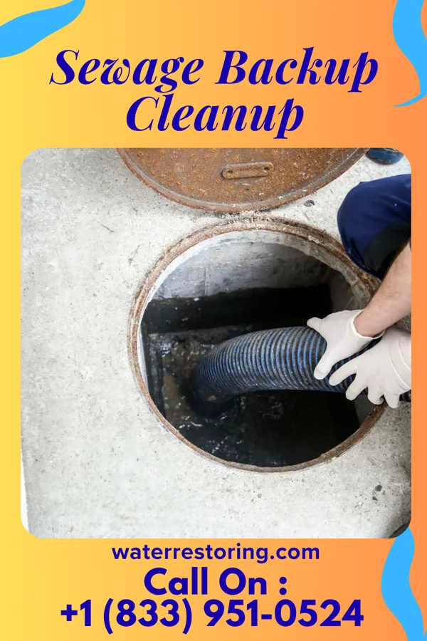 Sewage Backup Cleanup in Spring Valley, WI