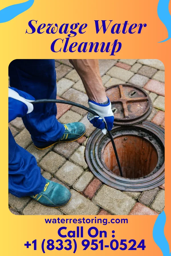 Sewage Water Cleanup in Spring Valley, WI