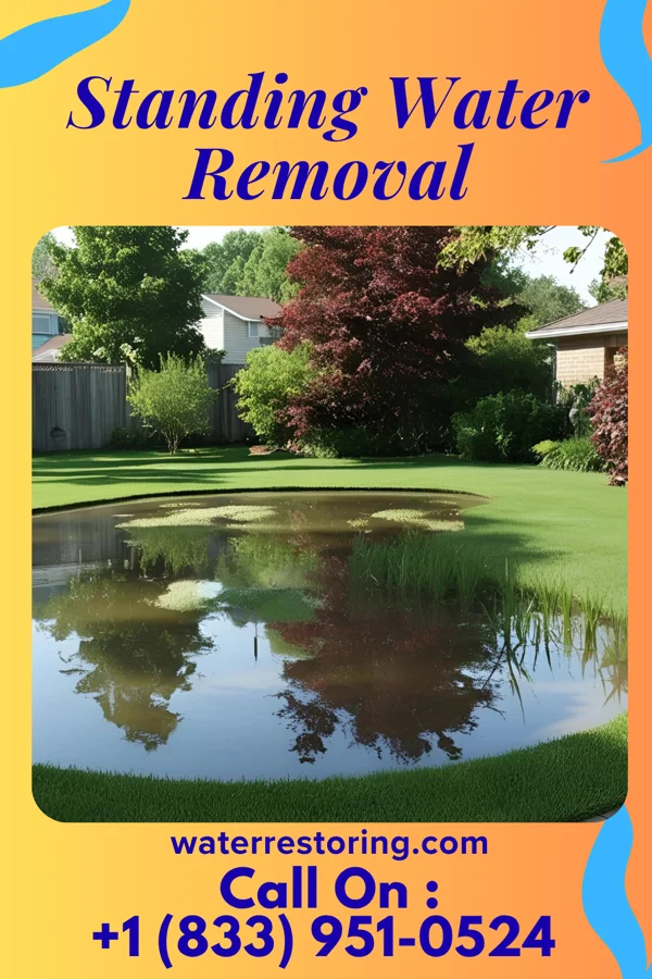 Standing Water Removal in Spring Valley, WI